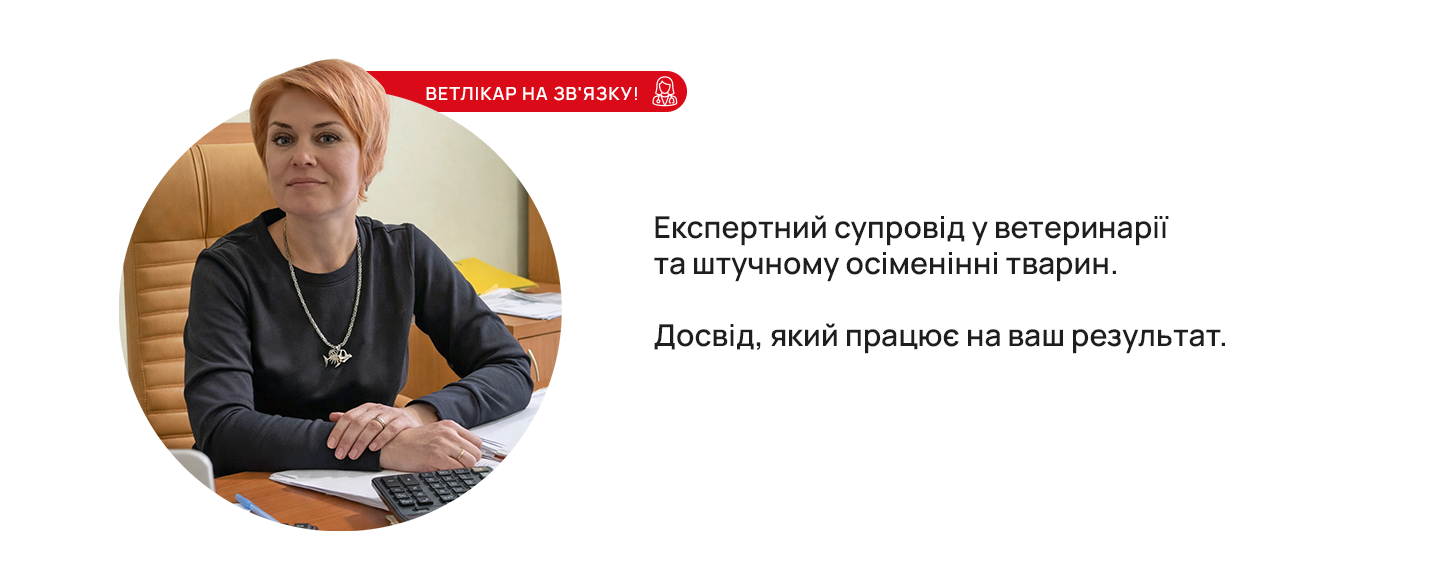 Банер 2-1