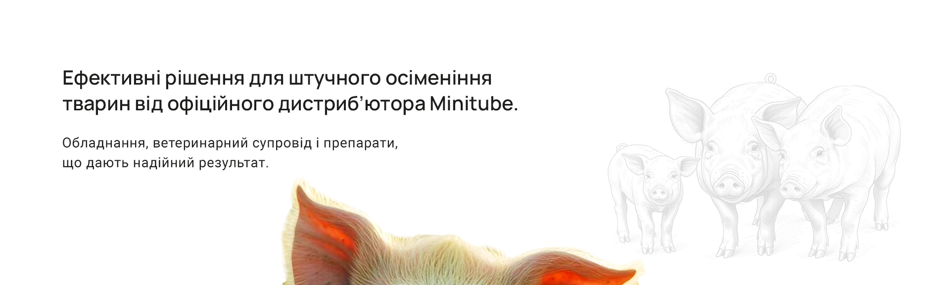 Головний банер 1-1-5