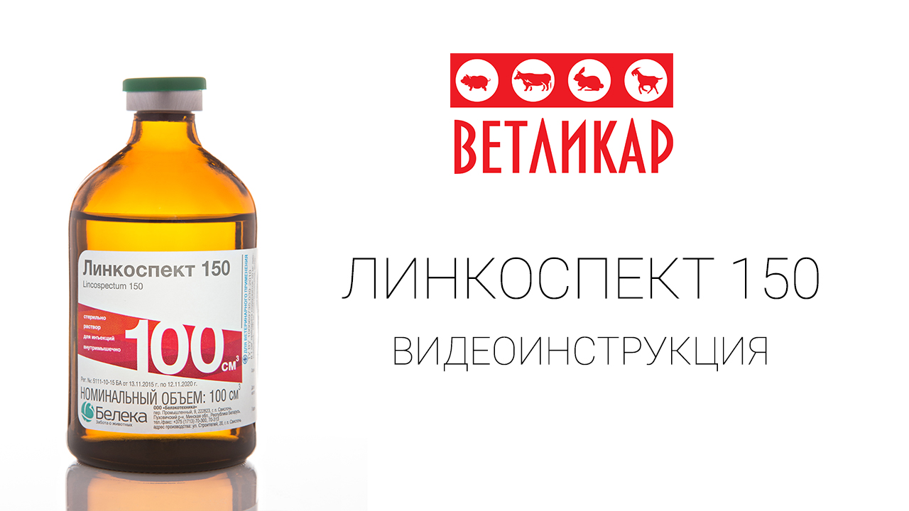 linkospekt-150-beleka-vetlikar-vetpreparat