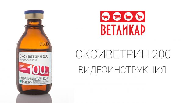 oksivetrin beleka vetlikar