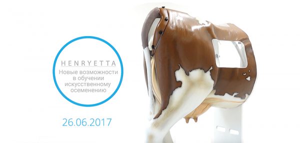 henryetta-offline-course-2017-vetlikar