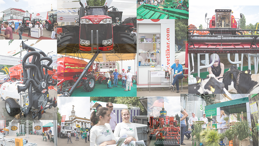 foto-otchet-vetlikar-agro-2017