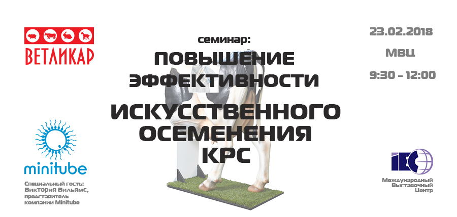 seminar-povyshenie-effektivnosti-io-krs-mvc-afisha-vetlikar
