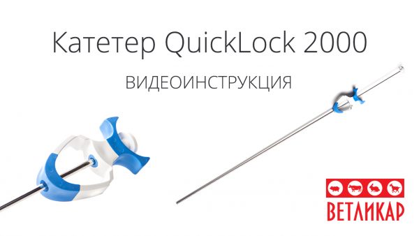 Kateter-QuickLock-2000-minitube-vetlikar