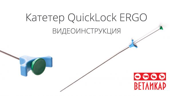 Kateter-QuickLock-ERGO-vetlikar.ua