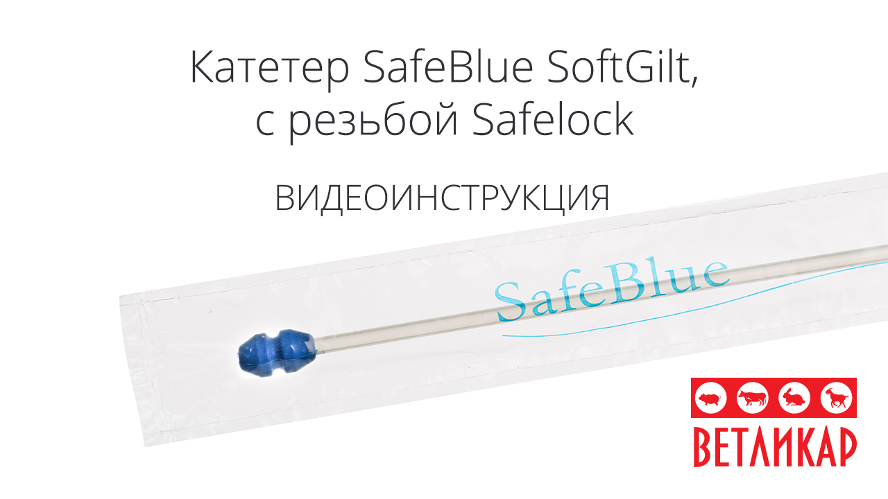 Kateter-SafeBlue-SoftGilt-rezbа-Safelock-minitube-vetlikar