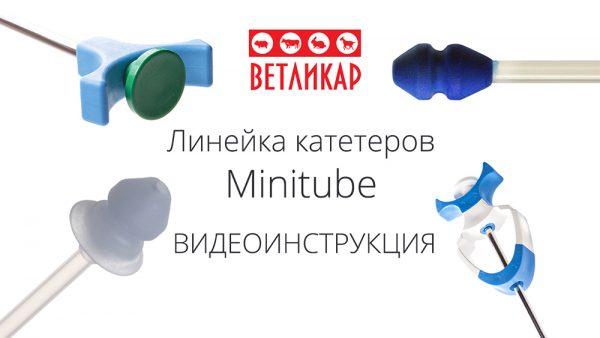 vse-katetery-minitube-banner-vetlikar-ua