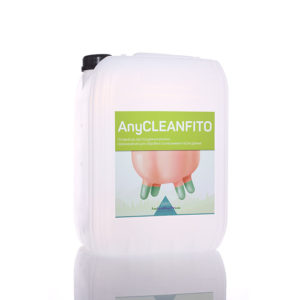 anycleanfito-pislia-doinnia